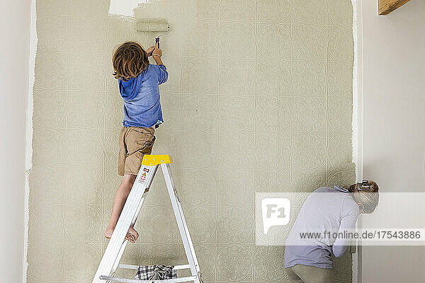 A woman and an eight year old boy decorating a room  painting walls.