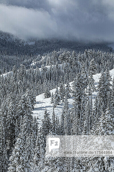 USA  Idaho  Ketchum  Mountain landscape and forest in winter