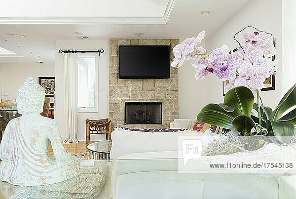 Orchids and Buddha statue in living room