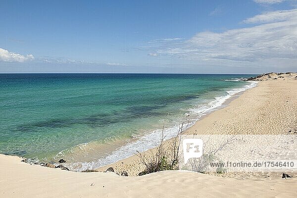 Deserted beach without tourists near Corralejo  Fuerteventura  Canary Islands  Spain  Europe