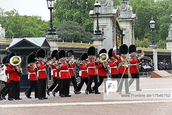 Queen's Guard  Changing the Guard  Changing the Guard in front of Buckingham Palace  London  London Region  England  United Kingdom  Europe