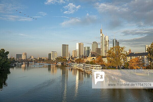 Excursion boats on the river bank  view over the Main  skyline reflected in the river  skyscrapers in the banking district in the morning light  Frankfurt am Main  Hesse  Germany  Europe