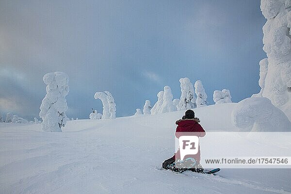 Fotografin fotografiert vereiste Bäume im Riisitunturi-Nationalpark  Lappland  Finnland  Europa