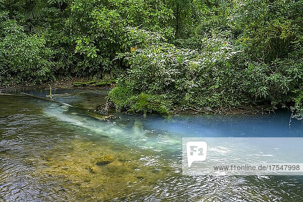 Quelle mit Schwefel und Kalziumkarbonat die das blau türkise Wasser des Rio Celeste verursacht  Nationalpark Tenorio  Upala  Provinz Alajuela  Costa Rica  Mittelamerika