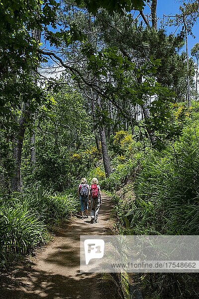 Two woman on the levada walk from Camacha to the Botanical Garden in Funchal  Madeira  Portugal  Europe