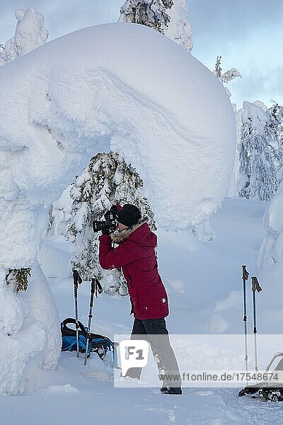 Photographer taking pictures of snow-covered trees in Riisitunturi National Park  Lapland  Finland  Europe