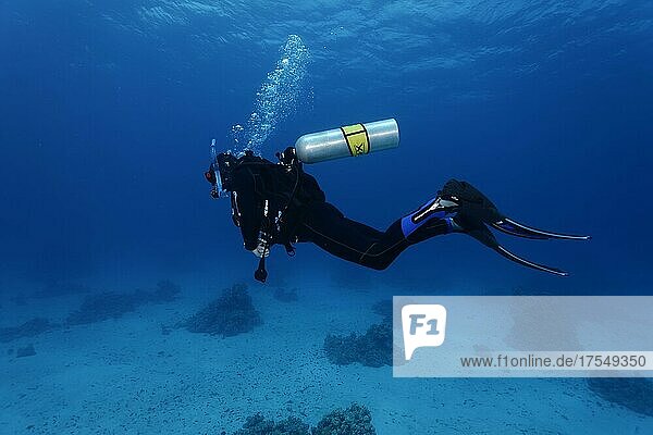 Diver  loose scuba  Nitrox  Port Safaga  Red Sea  Egypt  Africa