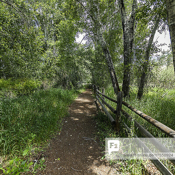 USA  Idaho  Bellevue  Footpath and wooden fence in rural area
