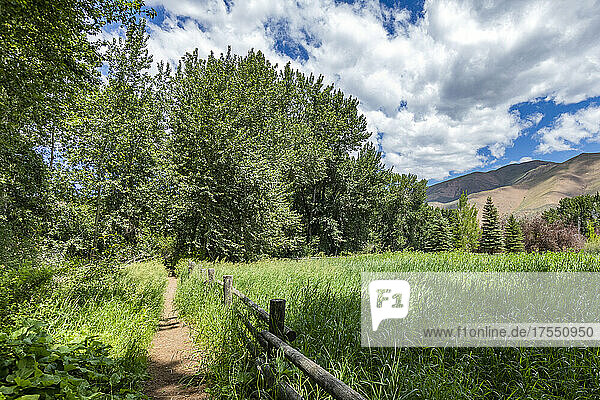 USA  Idaho  Bellevue  Footpath and pasture in rural area