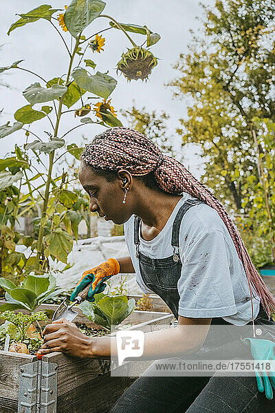 Junge Umweltschützerin pflanzt Gemüse auf einem Biohof