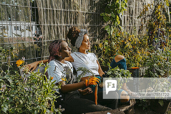 Female environmentalists relaxing in urban farm