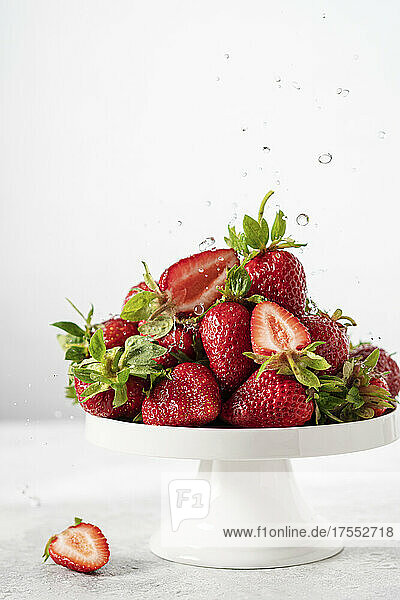 Erdbeeren auf einem weißen Teller mit Wassertropfen vor weißem Hintergrund
