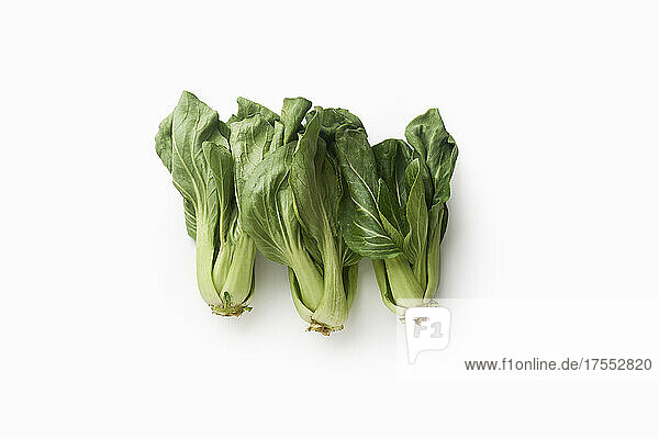 Bok choy or pak choy asian cabbage isolated on white background