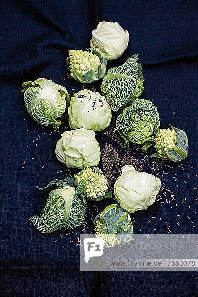 Baby cabbage: Savoy cabbage  romanesco and white cabbage