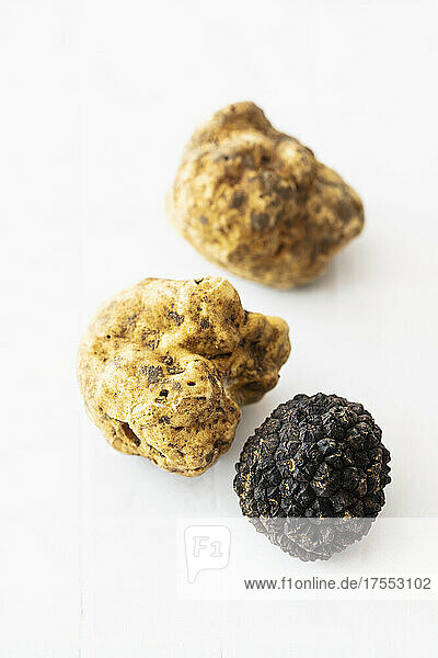 Two different types of truffle (white and black)
