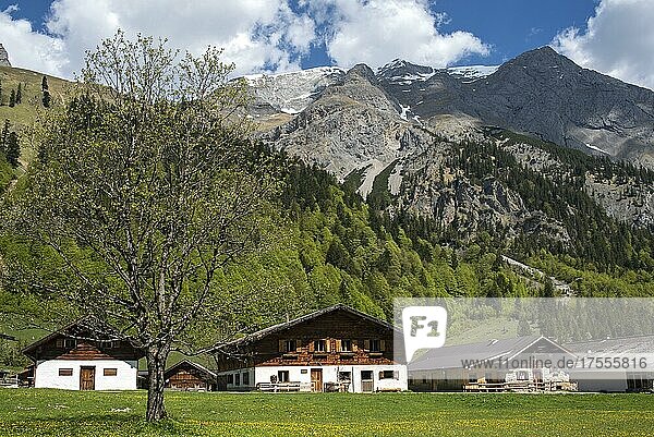 Almdorf Eng im Karwendel-Gebirge  Hinterriss  Tirol  Österreich  Europa