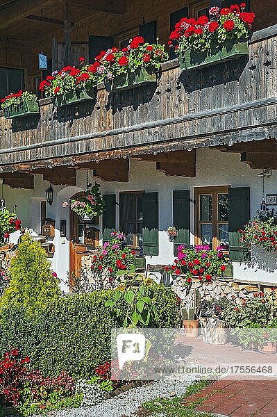 Zum Wohnhaus umgebauter Bauernhof mit Blumenschmuck in Wegscheid bei Lenggries  Bayern  Deutschland  Europa