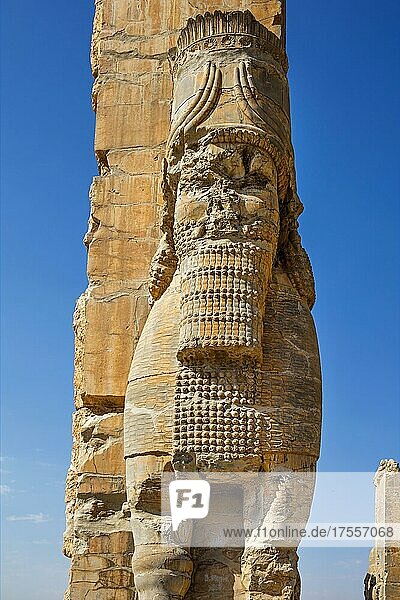 Tor aller Länder mit geflügelten Mischwesen  Persepolis  Persepolis  Iran