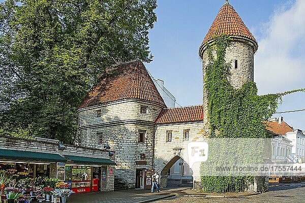 Old City Gate  Virutor  Entrance to the Lower Town  Tallinn  Estonia  Tallinn  Estonia  Europe