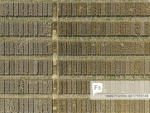 Aerial Drohne POV braunen rechteckigen Flecken bilden Muster in ländlichen Feld
