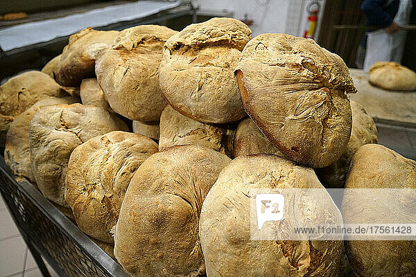 Italien  Kalabrien  Cerchiara di Calabria  typisches Brot