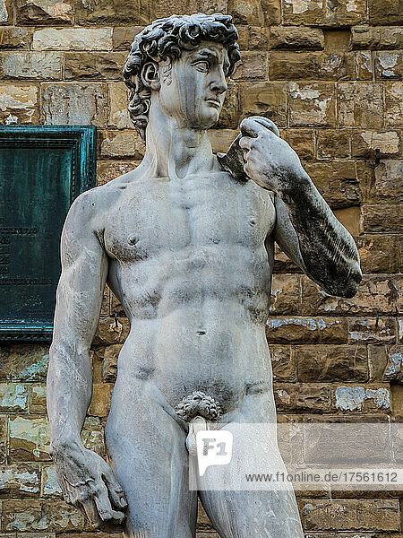 Italien  Toskana  Florenz  Palazzo Vecchio  Michelangelos David-Statue