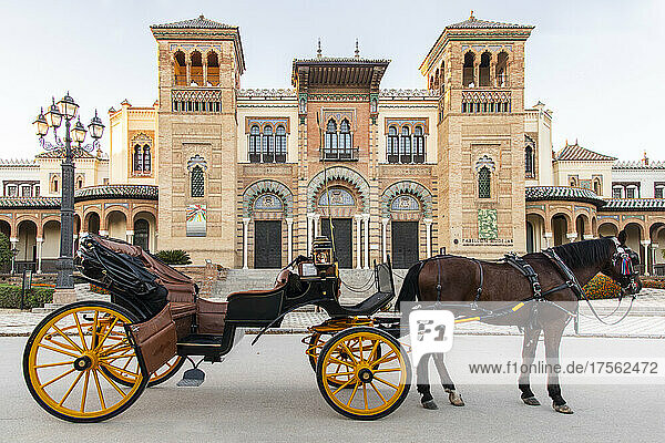 Pferd und Kutsche warten auf Touristen im Parque de Maria Luisa in Sevilla  Andalusien  Spanien  Europa