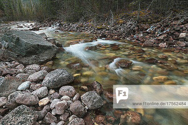 Gebirgsbach mit Wasserfällen in der Nähe des Maligne Canyon  Athabasca River Basin  Jasper National Park  UNESCO-Weltkulturerbe  Alberta  Kanadische Rockies  Kanada  Nordamerika