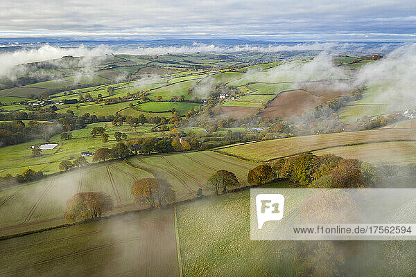 Hügellandschaft an einem nebligen Herbstmorgen in der Nähe von Cadbury  Mid Devon  England  Vereinigtes Königreich  Europa