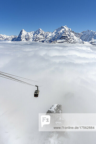 Klarer Himmel über den schneebedeckten Gipfeln von Eiger  Mönch und Jungfrau mit Schilthornbahn im dichten Nebel  Kanton Bern  Schweizer Alpen  Schweiz  Europa