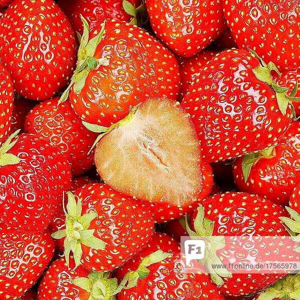 Erdbeeren Beeren frische Früchte Erdbeere Beere Frucht von oben quadratisch