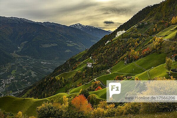 Mountain farm in autumnal alpine meadow landscape  Naturns  South Tyrol  Italy  Europe