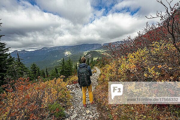 Hikers on a trail through autumn coloured bushes  hiking trail to Pinnacle Peak  Mount Rainier National Park  Washington  USA  North America