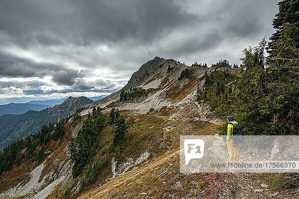 Wanderer auf einem Wanderweg  herbstliche Berglandschaft  hinten Denman Peak  Mount Rainier National Park  Washington  USA  Nordamerika