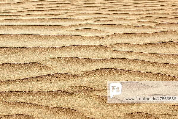 Wüste mit Sand in Dubai  Vereinigte Arabische Emirate  Asien