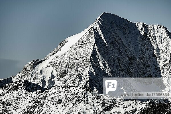 Verschneiter Gipfel der Königspitze bei blauer Stunde  Martelltal  Naturns  Südtirol  Italien  Europa