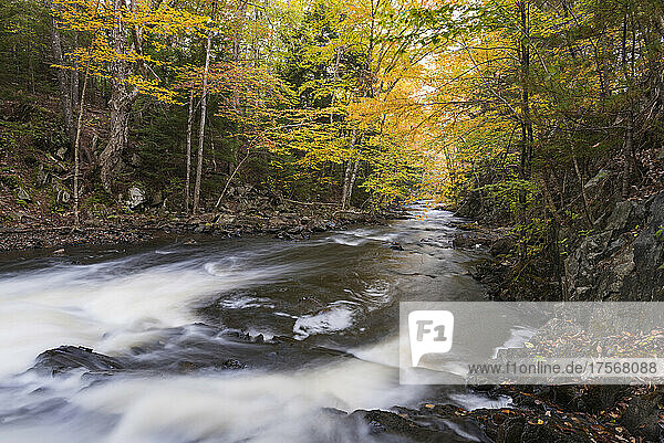 Miller's Falls im Herbst  Fall River  Nova Scotia  Kanada  Nordamerika