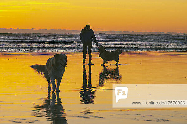 Female playing with their dogs on the Washington Coast at sunset
