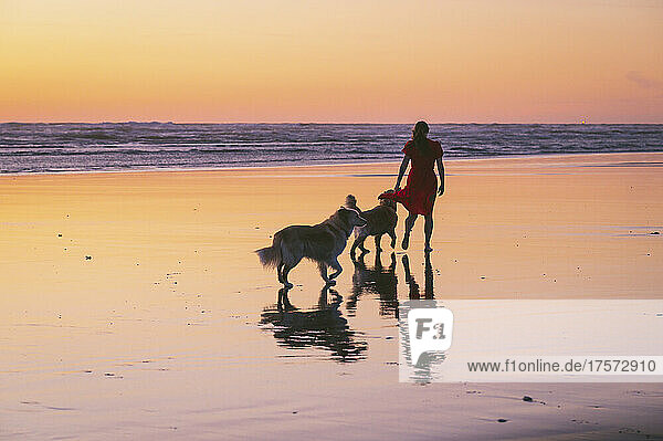 Female walking with their dogs on the Washington Coast at sunset