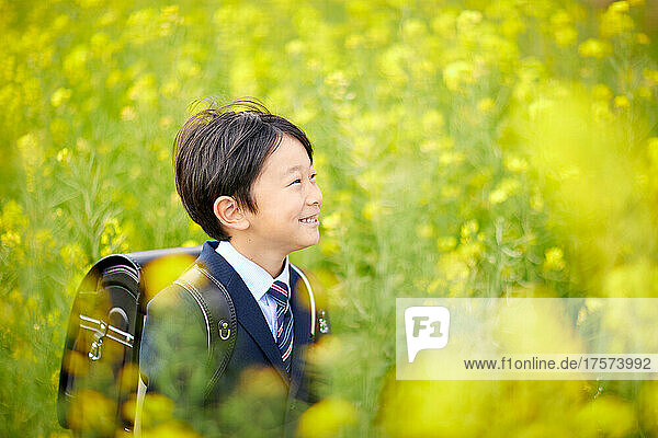 Rape Blossoms And Japanese Elementary School Boy