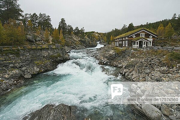 Wildwasser im Honnsrove Naturreservat  Oppland  Norwegen  Europa
