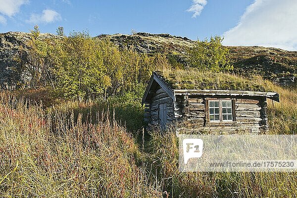 Old cabin in the Fjell  Dovrefjell  Norway  Europe