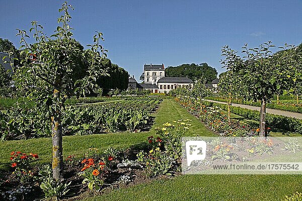 Prinz-Georg-Garten und Pretlack´sches Gartenhaus  Darmstadt  Hessen  Deutschland  Europa