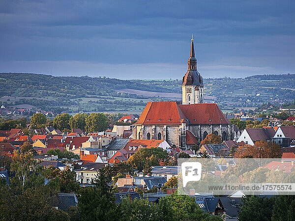 View of the Wenzelskirche in the evening light  Naumburg  Saxony-Anhalt  Germany  Europe
