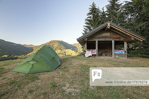 Grünes Zelt bei Hütte auf trockener Sommer Wiese  Präg  Schwarzwald  Baden-Würrtemberg  Deutschland  Europa