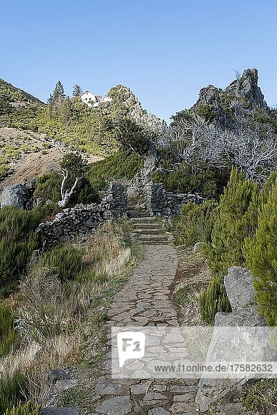 Wanderweg zum Gipfels des Pico Ruivo  Madeira  Portugal  Europa
