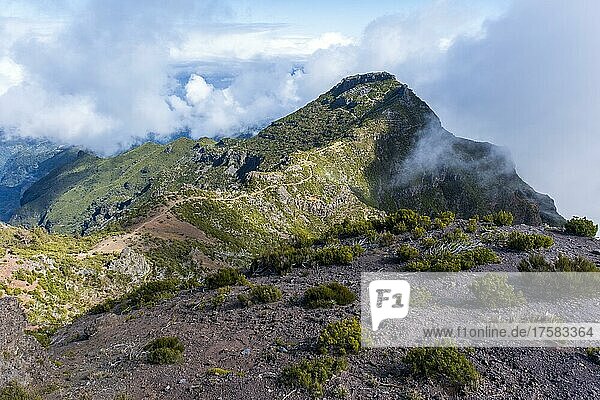 Ausblick und Wanderweg zum Gipfels des Pico Ruivo  Madeira  Portugal  Europa