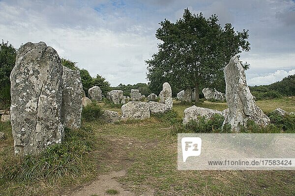 Menhire  Megalithen  Erdeven  Bretagne  Frankreich  Europa