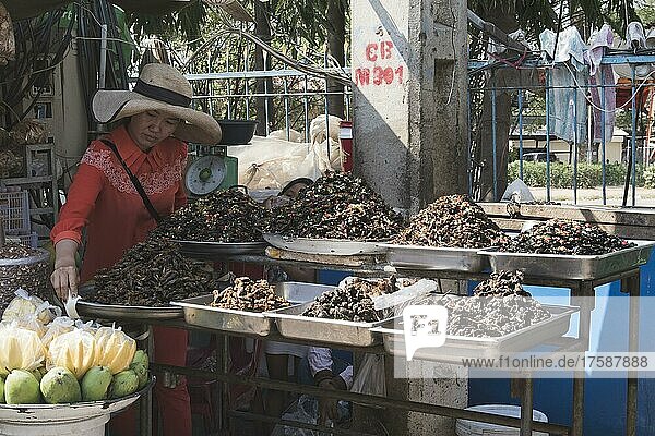 Woman selling roasted insects  Pnom Penh  Cambodia  Asia