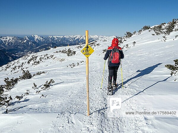Blue sky over winter landscape  snowshoe hiker at signpost on Five Fingers trail  Krippenstein  Salzkammergutt  Upper Austria  Austria  Europe